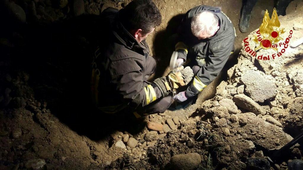 Il soccorso per i due cani