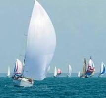 San Rossore: siepi e steeple chase 
