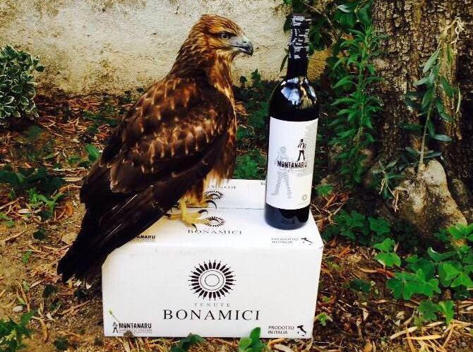 Tenute Bonamici, premiato il cannonau 
