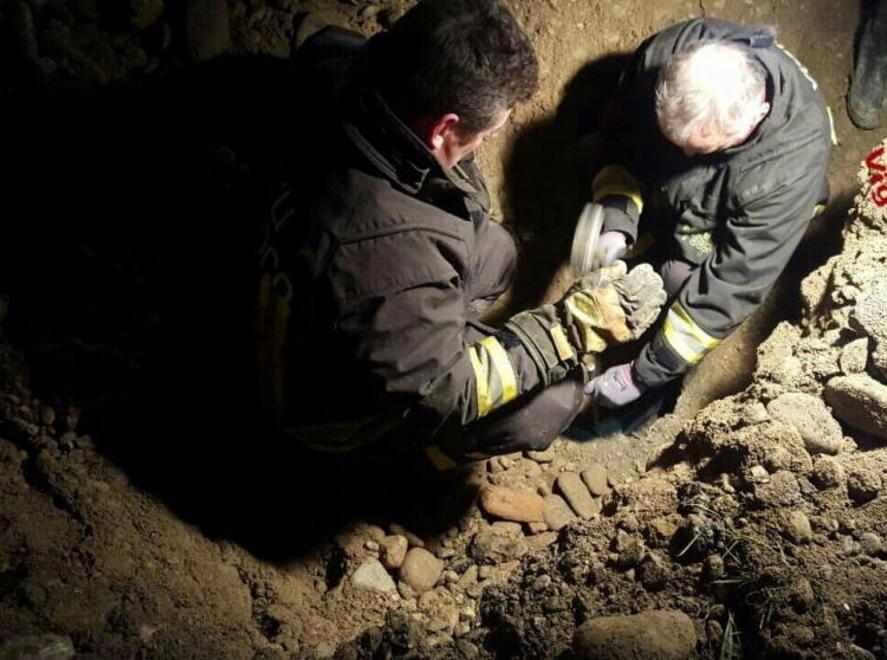 Salvati 2 cani intrappolati sottoterra 
