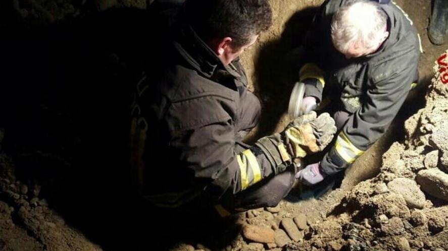 Salvati 2 cani intrappolati sottoterra