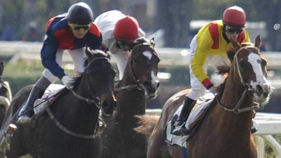 Il Casalone riapre i battenti con 51 cavalli al via