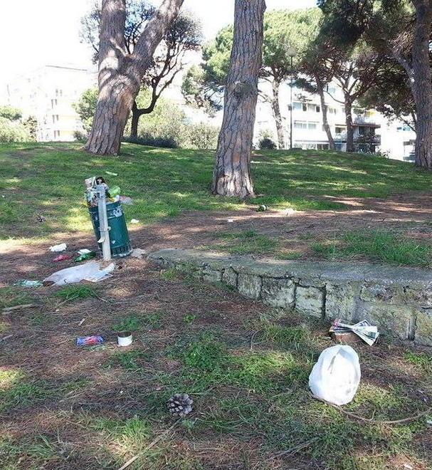 «I privati devono pulire la pineta» 