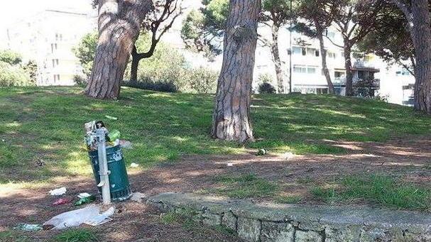 «I privati devono pulire la pineta»