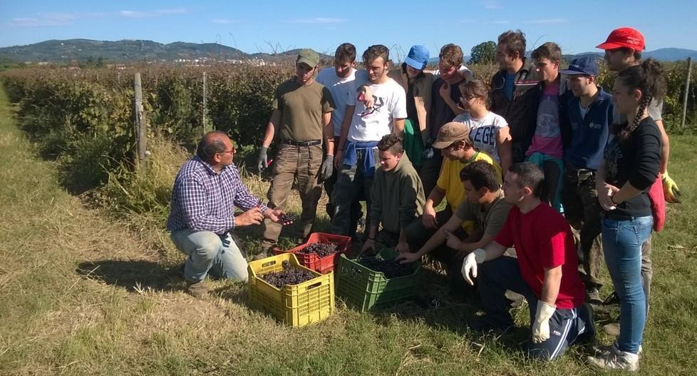 Vino, un master per tutti alta formazione in campo 