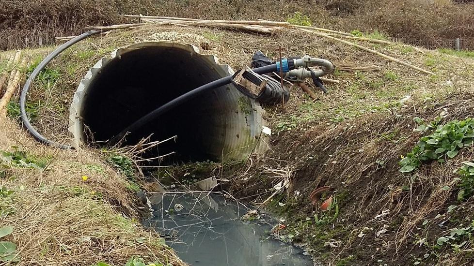 Recuperati i liquami sversati