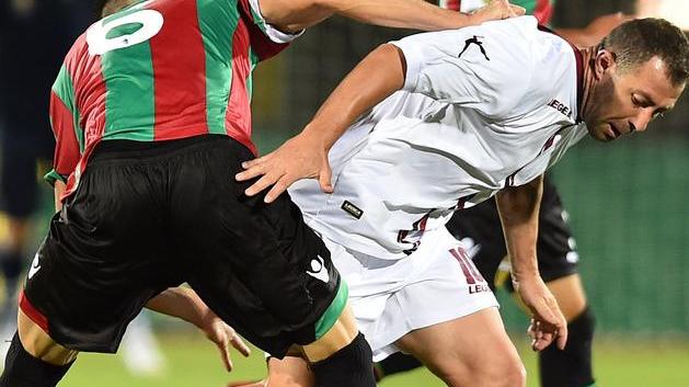 Undici leoni contro le Fere Al Picchi c’è uno spareggio