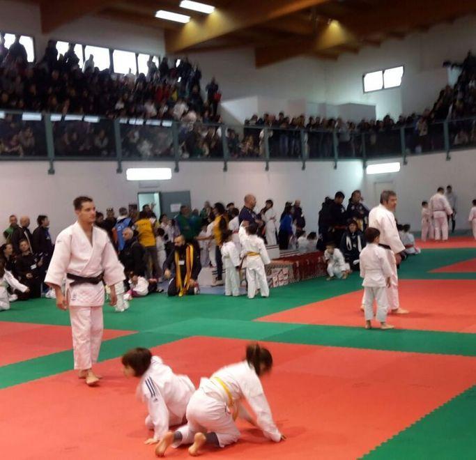 La carica di 380 atleti al torneo Judo Sedilo