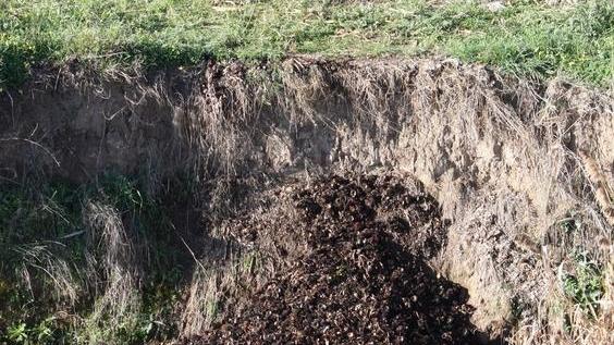 Discarica di ricci nel Tirso: denunciati padre e figlio