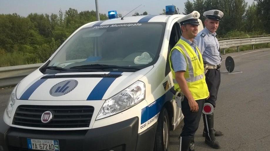 «Cani fuggiti per colpa dei ladri»