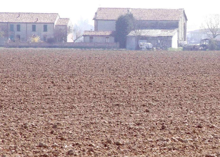 C’è allarme per la siccità nelle campagne reggiane 