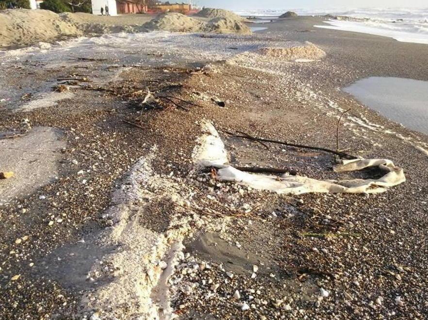 «Marmettola usata come cemento in spiaggia» 