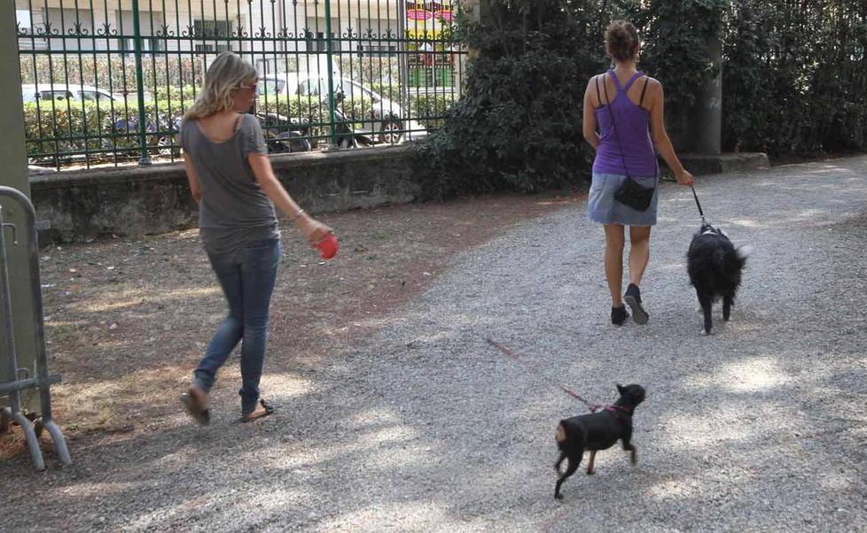 Mancano i cestini per buttare le deiezioni dei cani