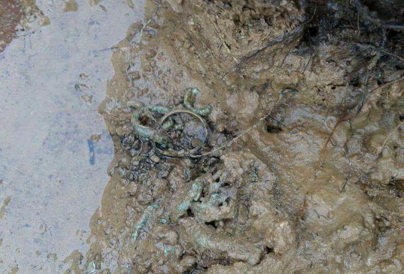 Due scheletri di età villanoviana affiorano a Baratti 