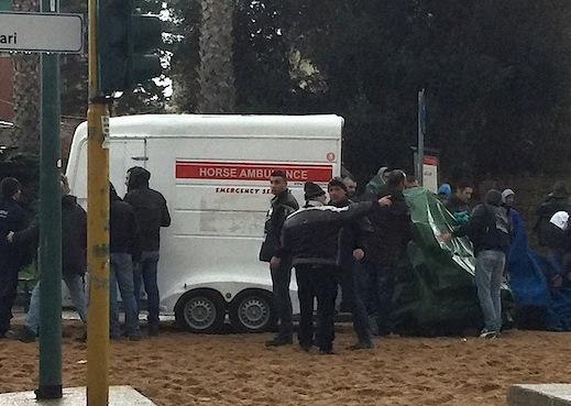 Un cavallo morto e 19 stelle 