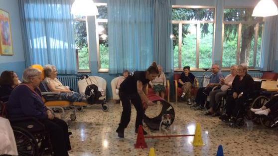 Un cane come amico per gli ospiti della casa di riposo