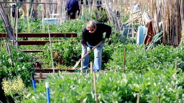 Altri due nuovi orti urbani: scelti Salviano e Antignano