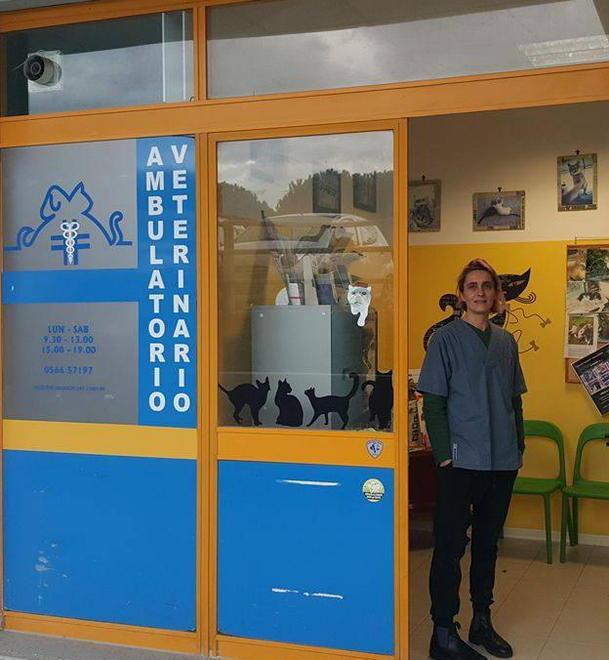 Rubano le offerte per i gatti randagi 