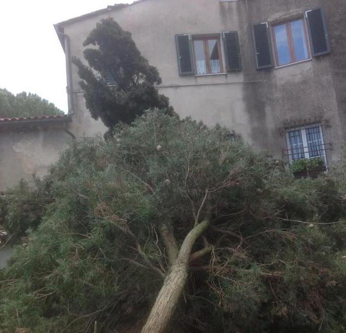 Alberi caduti sulle auto e cornicioni pericolanti Due frazioni senz’acqua 