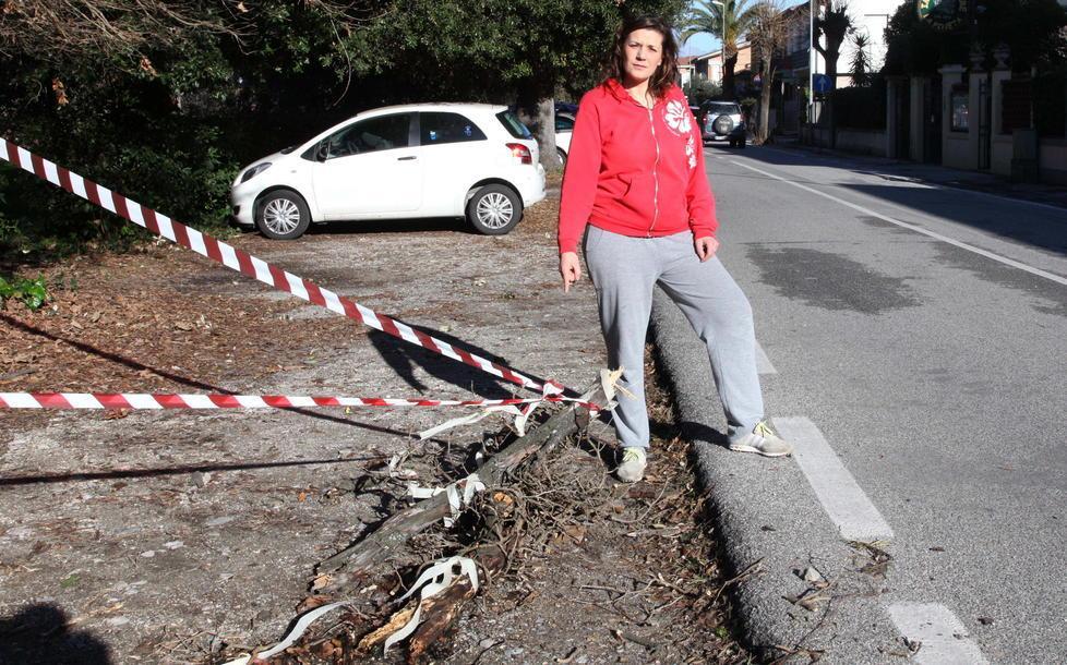 La città va in tilt piegata dal vento 