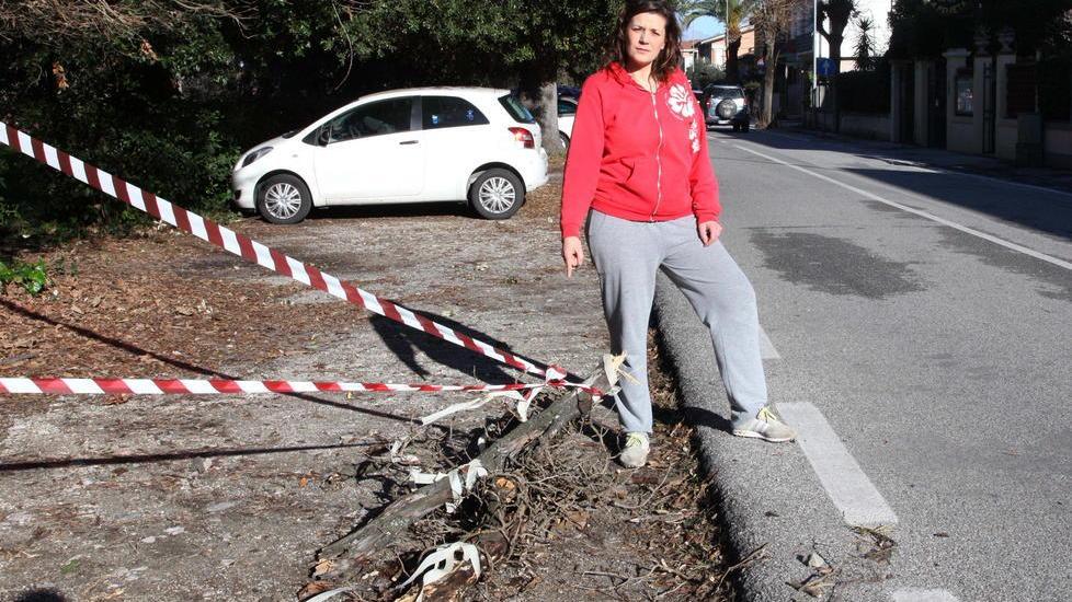 La città va in tilt piegata dal vento