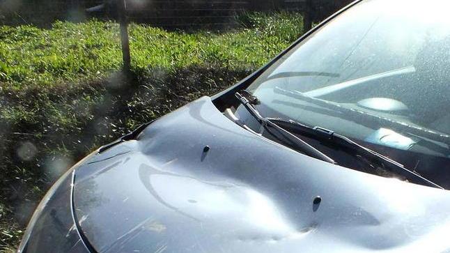 Venti fino a 100 km orari Tanti danni, nessun ferito