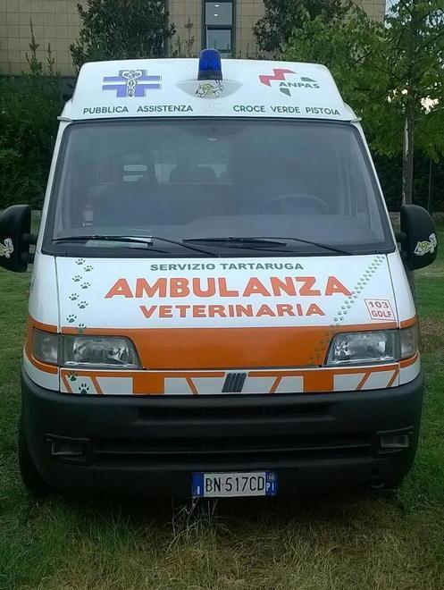 Un corso per diventare soccorritori di animali 