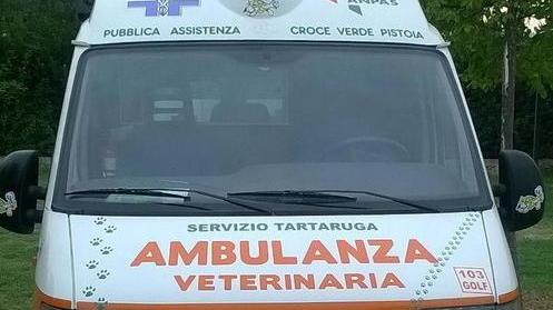 Un corso per diventare soccorritori di animali