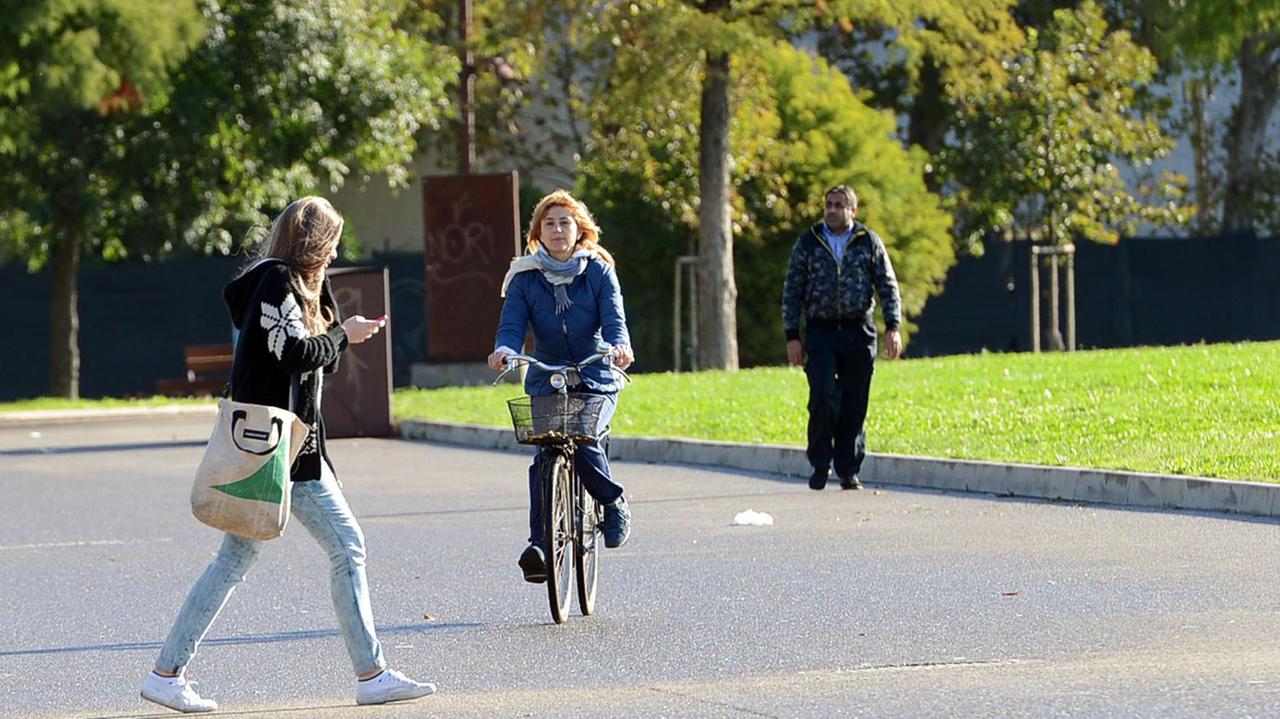 Il parco Novi Sad