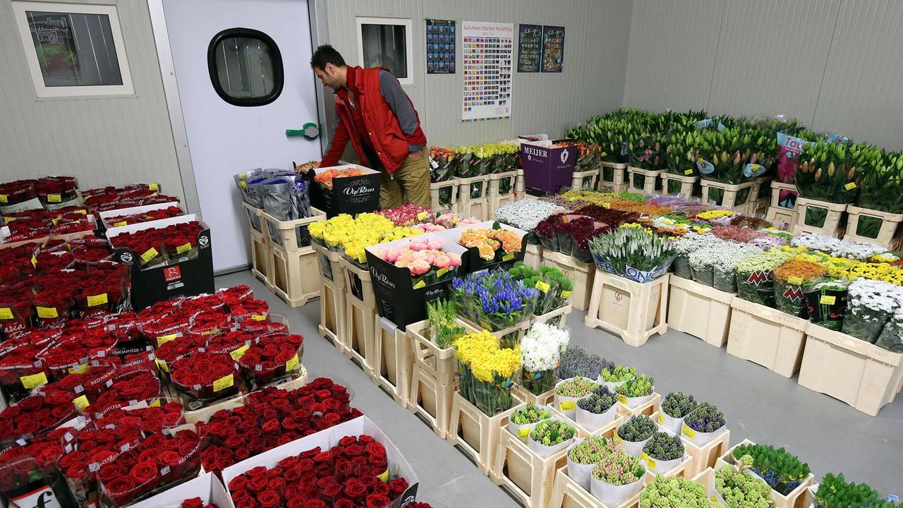 Più di 2 milioni di rose per giurare amore eterno
