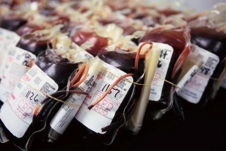 Sacche di sangue