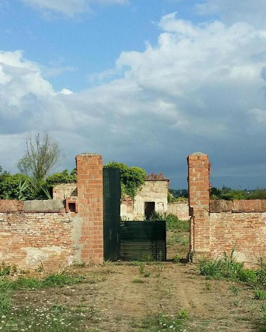 Il Tar blocca il cimitero della Misericordia 