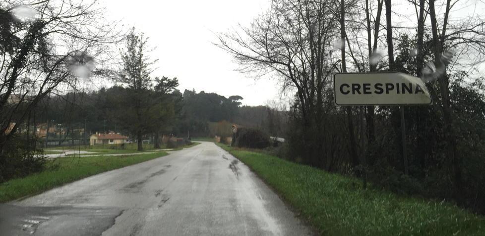 Crespina, è polemica per la costruzione della nuova scuola 