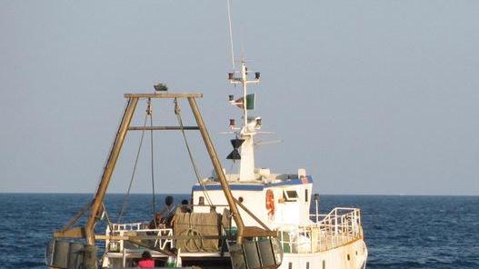 Indennizzi ai pescatori, via all’iter