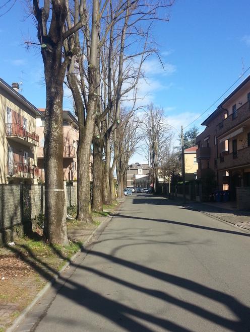 Banda di ladri arrampicatori svaligia due appartamenti