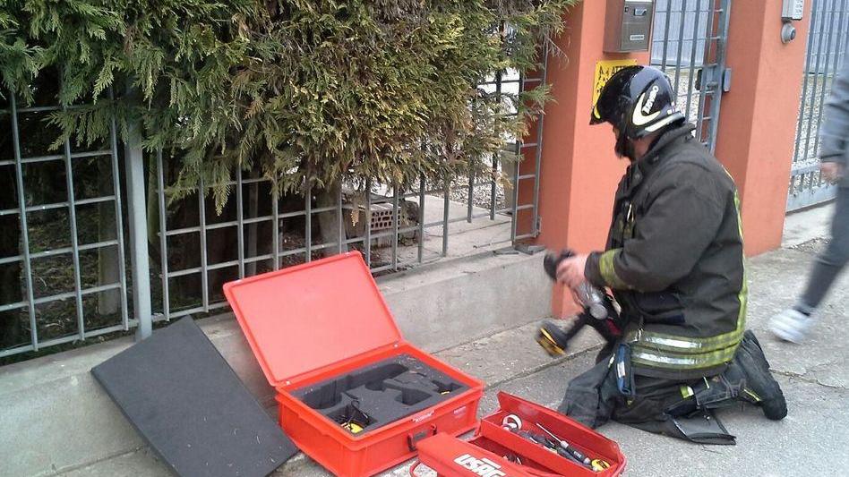 Cane incastrato nel cancello salvato dai vigili del fuoco