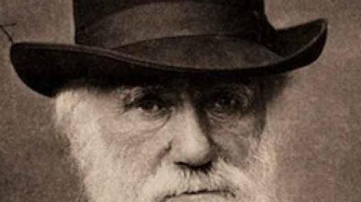 Da Darwin a iCub è l’evoluzione 3.0