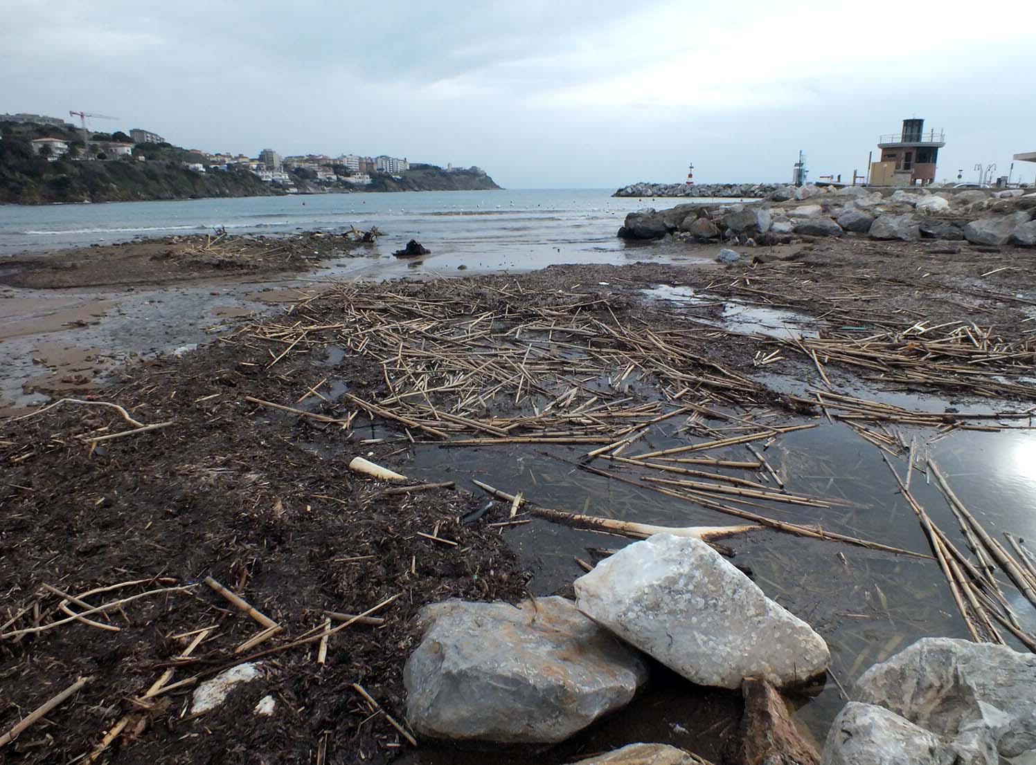 Il pessimo stato della spiaggia di Salivoli (foto Paolo Barlettani)