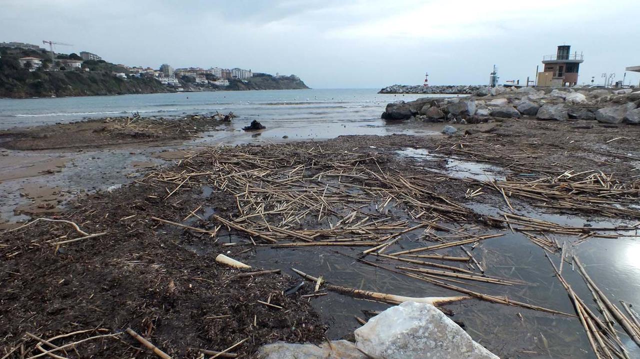 Il pessimo stato della spiaggia di Salivoli (foto Paolo Barlettani)