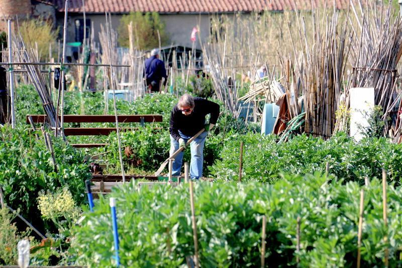 Pronti a primavera 35 orti a Montesecco