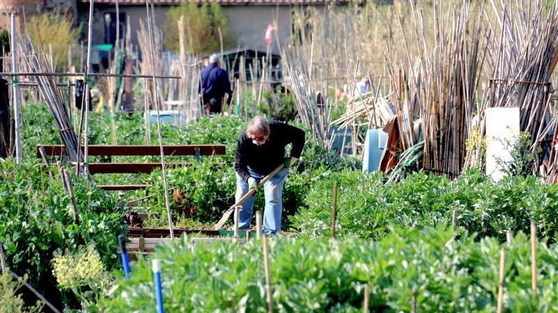 Pronti a primavera 35 orti a Montesecco