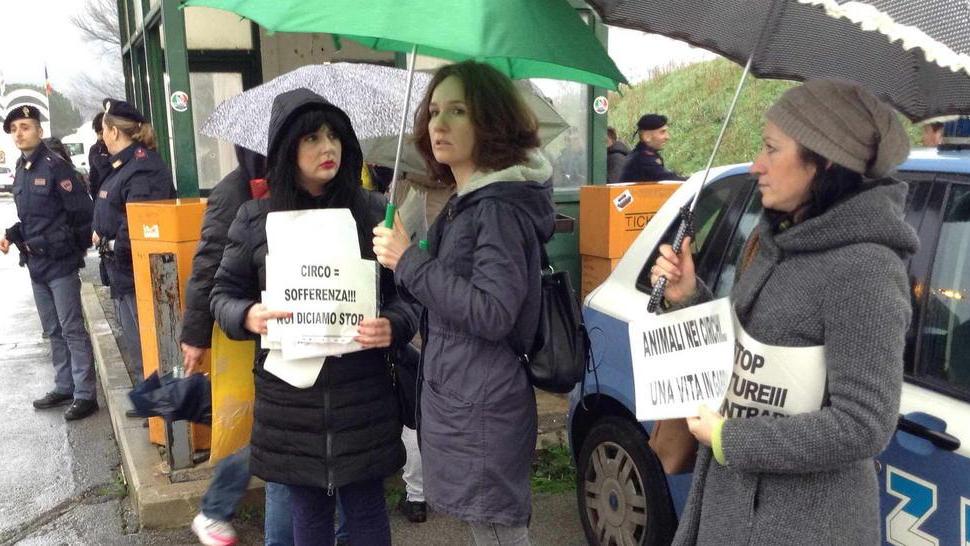 «Non andate al circo» la protesta dei 5 Stelle e degli animalisti