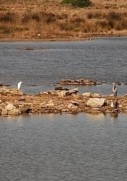 Area marina protetta Vittorio Gazale nuovo responsabile 