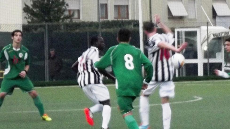 Juniores, le zebre cadono per la quarta volta