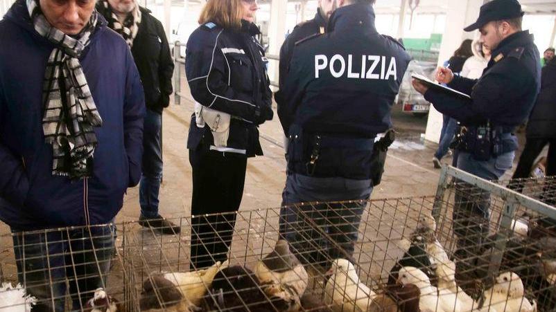 Il blitz animalista alle Fiere finisce tra spinte e insulti