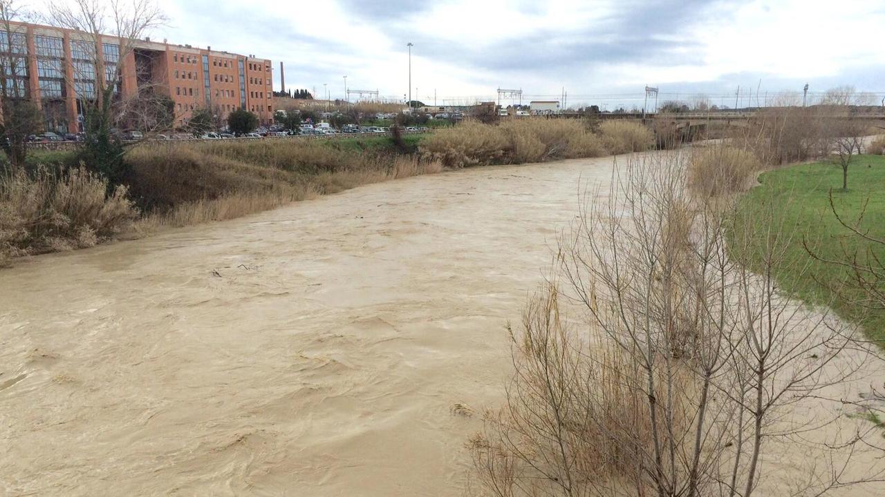Il fiume Cecina in piena