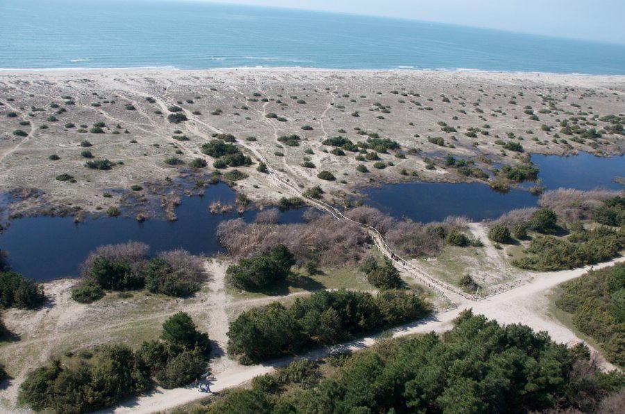 Uno scorcio della spiaggia protetta del Parco di San Rossore