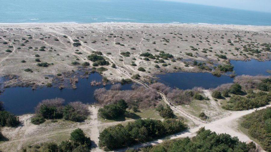 Uno scorcio della spiaggia protetta del Parco di San Rossore