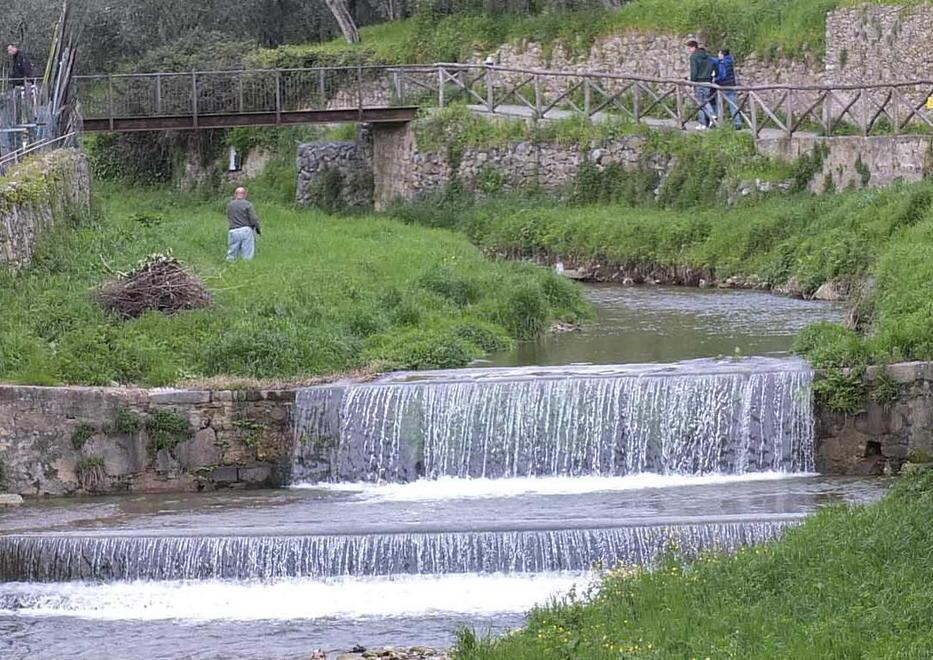 E il torrente Zambra si ripopola di trote 