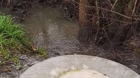 Liquami in strada dalla rete fognaria